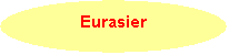 Ovaal: Eurasier