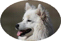 ekw_banner_small.gif