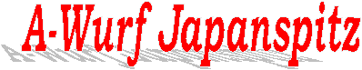 A-Wurf Japanspitz