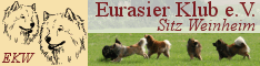ekw_banner_small.gif