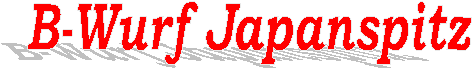 B-Wurf Japanspitz