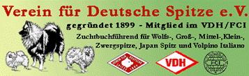 banner_vfds.gif