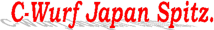 C-Wurf Japan Spitz.