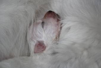 image010.jpg
