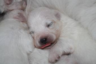 image012.jpg