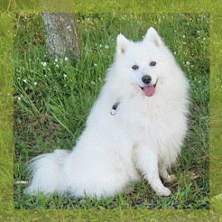 image006.gif