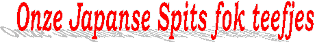 Onze Japanse Spits fok teefjes