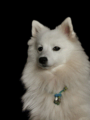 image002.gif