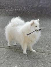 image010.jpg