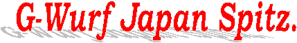 G-Wurf Japan Spitz.