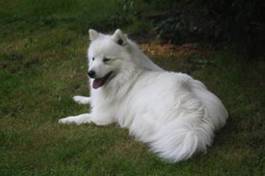 image002.jpg