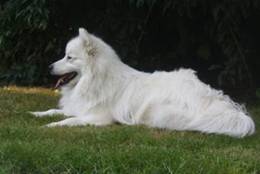 image006.jpg