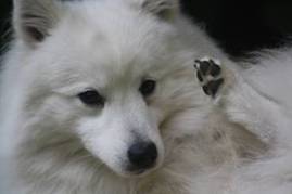 image008.jpg