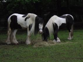 image002