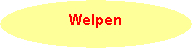 Ovaal: Welpen