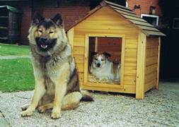 Gipsy en Tamby