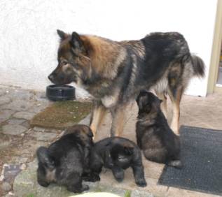 image002