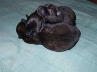 image014