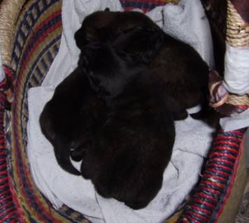 image024
