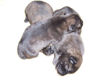 image030