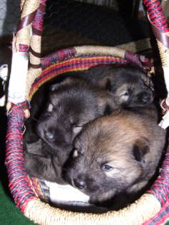 image022