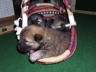 image024