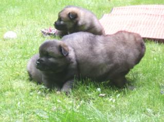 image014