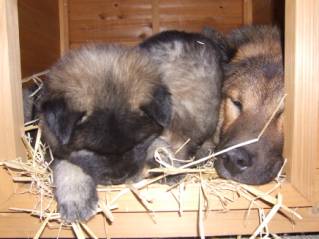 image022