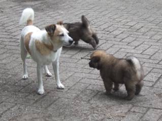 image024