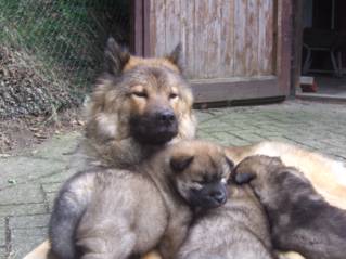 image026