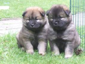 image014