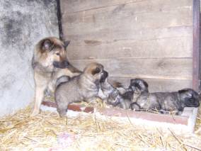 image024