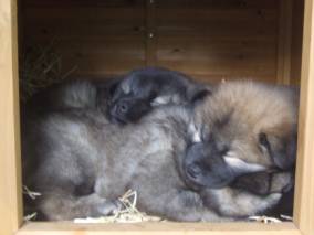 image026
