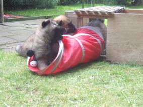 image032