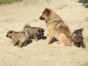 image040
