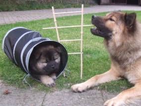 image008