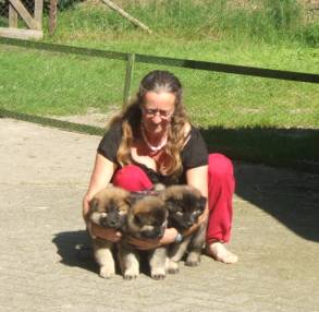 image014