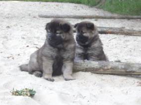 image024