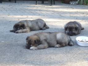 image026