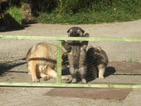 image028