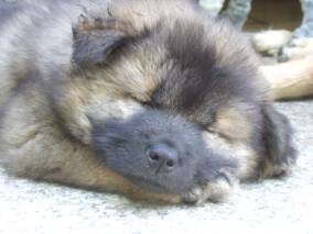 image032