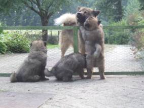 image034
