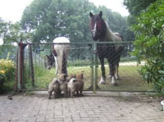 image002