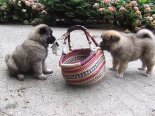 image016