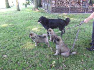 image020