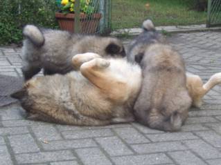 image024