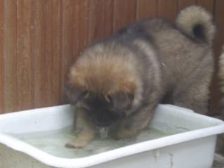 image008
