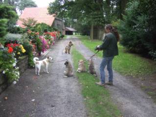 image020
