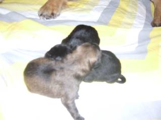 image002