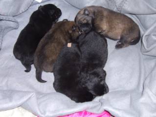image014